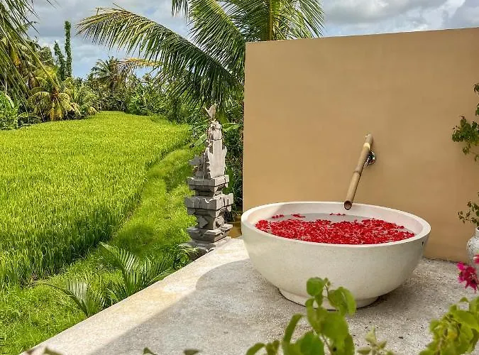 Woywoy Escape Samu (adults Only) * Ubud