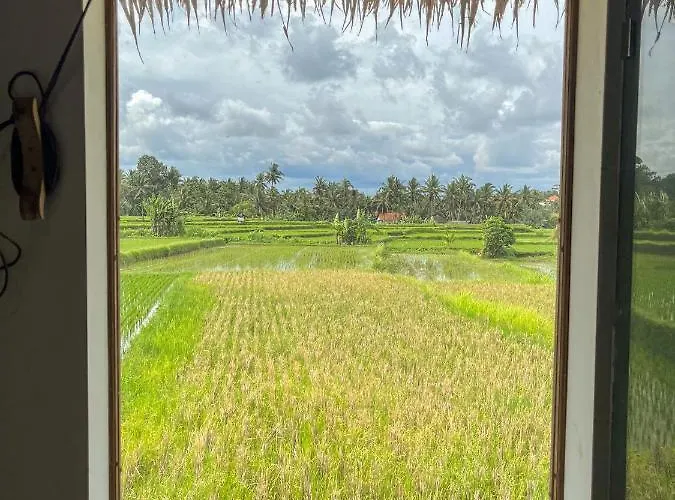Woywoy Escape Samu (adults Only) Ubud