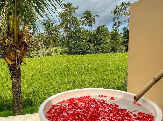 Woywoy Escape Samu (adults Only) Alojamento de Turismo Selvagem