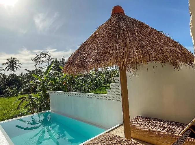Woywoy Escape Samu (adults Only) * Ubud