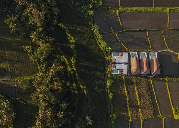 Alojamento de Turismo Selvagem Woywoy Escape Samu (adults Only) Ubud